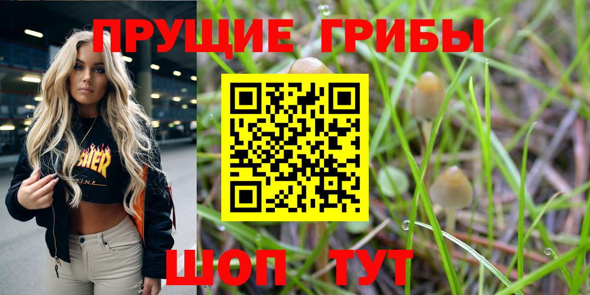 Псилоцибиновые грибы прущие грибы  Вход с VPN  Екатеринбург 