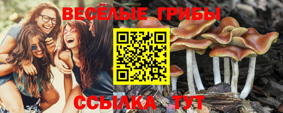Псилоцибиновые грибы ЛСД Екатеринбург